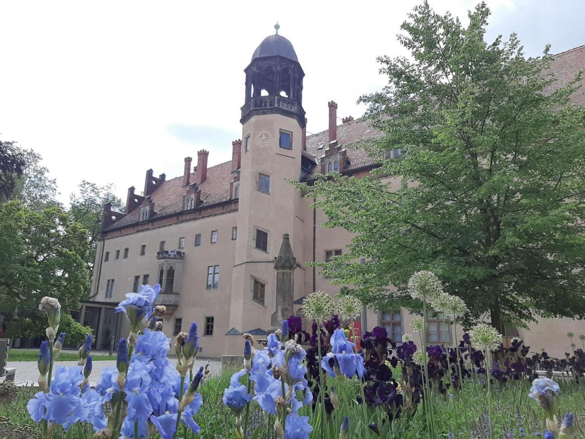 Fewo Rosenbluete Am Stadtpark Wittenberg المظهر الخارجي الصورة