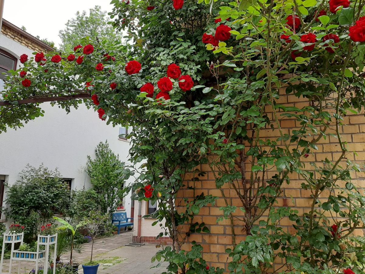 Fewo Rosenbluete Am Stadtpark Wittenberg المظهر الخارجي الصورة
