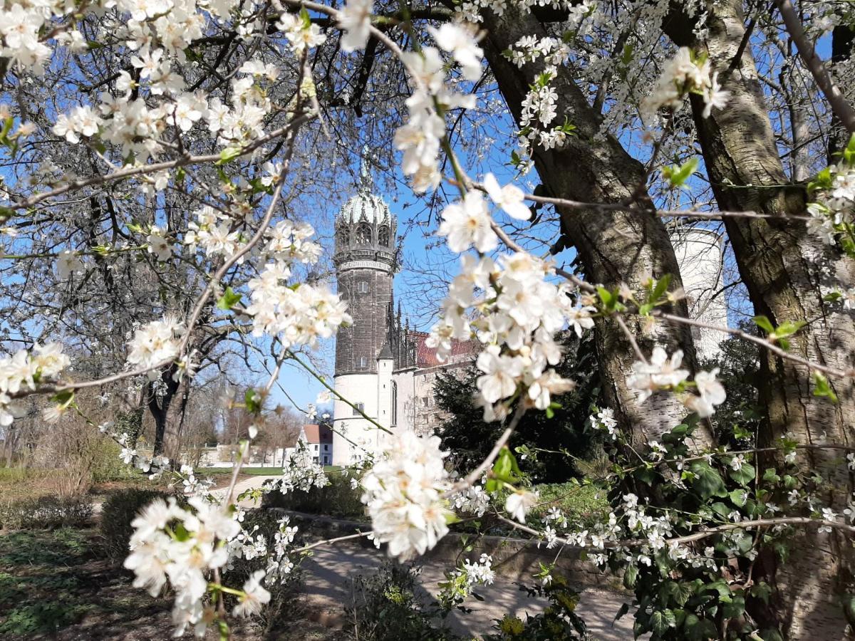 Fewo Rosenbluete Am Stadtpark Wittenberg المظهر الخارجي الصورة